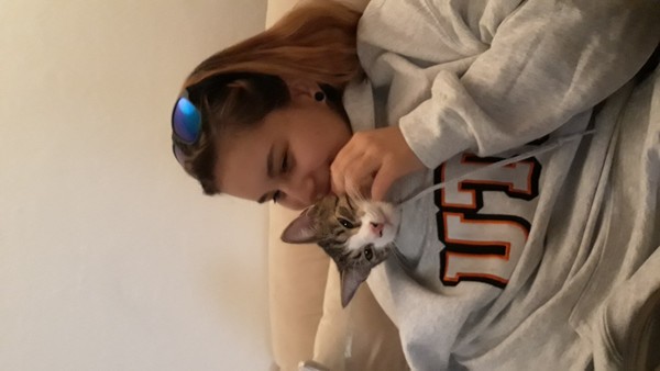 Máte deti Ak nie chceli by ste Ak áno chcete ďalšie Aký je váš celkový vzťah k