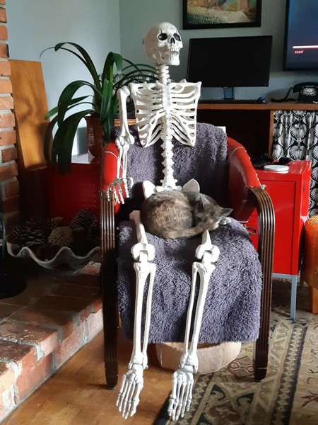 Dovedete si představit den bez hudby