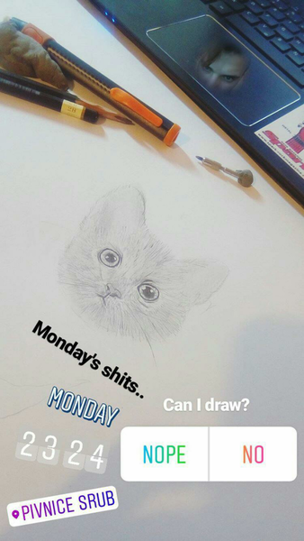 Meow