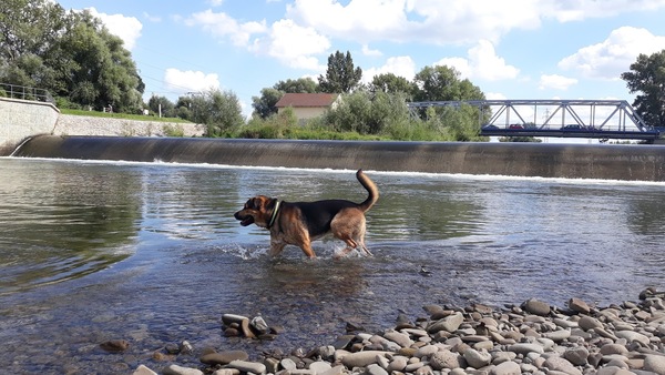 Zveřejni svou poslední fotku v galerii