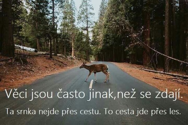 Lide jsou cim dal vic nevychovani Mate aspon vy trosku respekt nebo patrite k