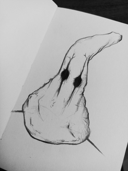 fotku