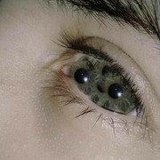 DianeinWonderland’s Profile Photo