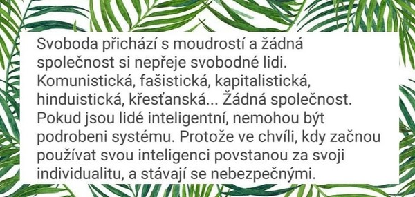 Co pro tebe znamená svoboda