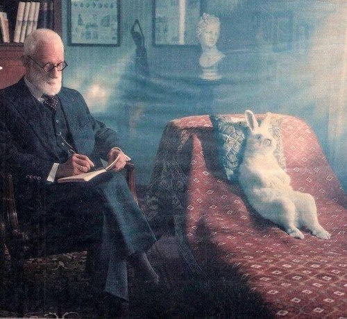 Ø Dokážeš být sámsama sobě psychologem Jak