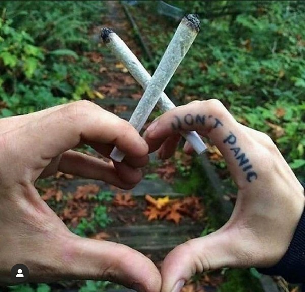 Zveřejni svůj nejoblíbenější obrázek na sociálních sítích