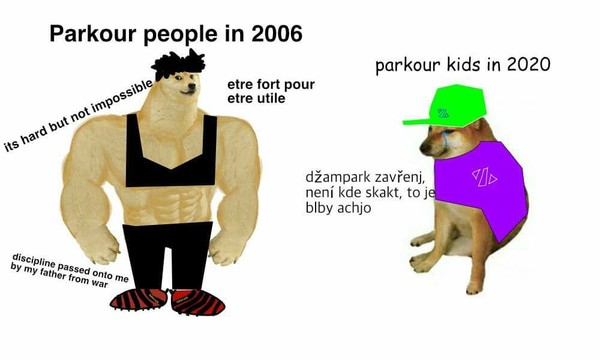 Co byste mohli učit