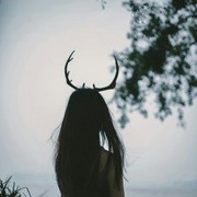 LiaelCZ’s Profile Photo