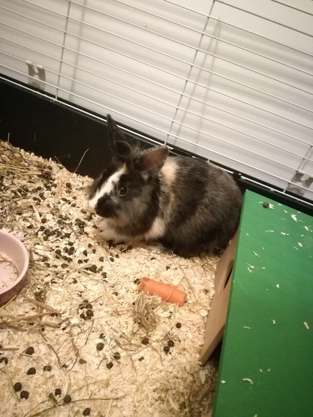 Jaký nejlepší vánoční dárek jste letos dostali