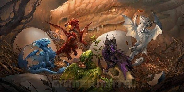 Jaký literární žánr čteš nejraději