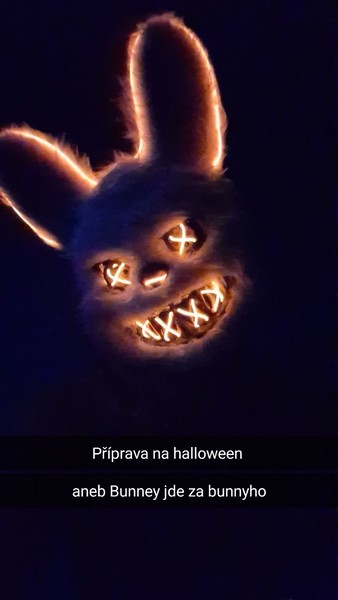 Aktuální fotka