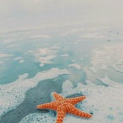 elismoriy’s Profile Photo