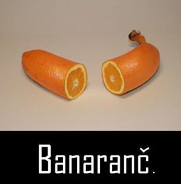 pomeranč nebo mandarinka