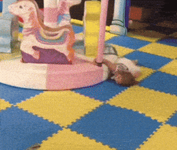Přidej GIF co popisuje tvůj dnešní den