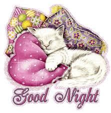 Dobrou noc3