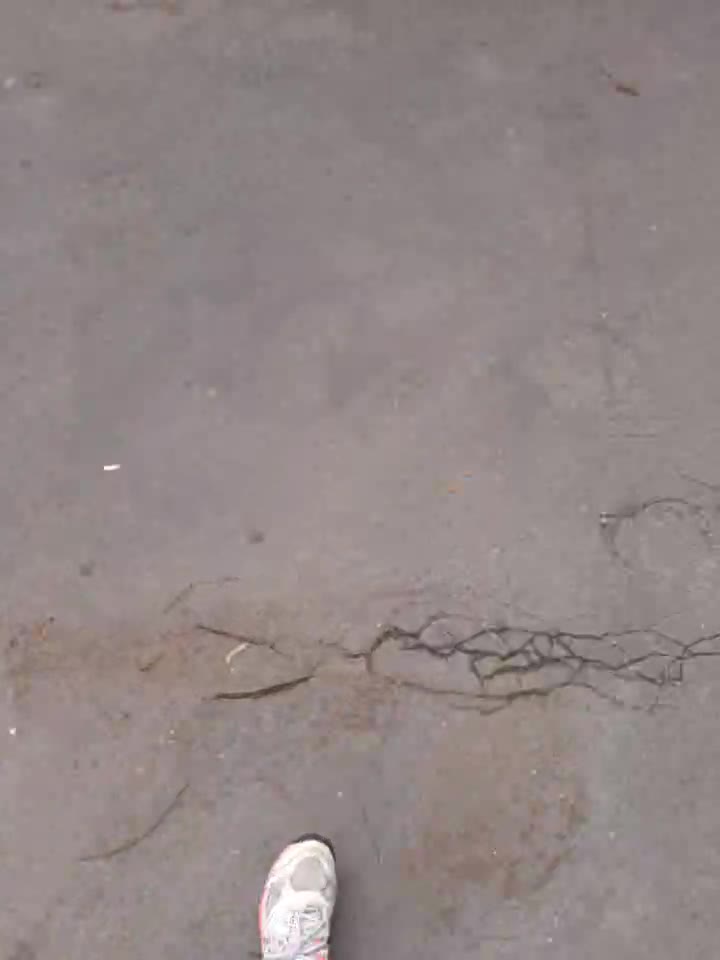 SajulinkaMucq’s Video 160963845440