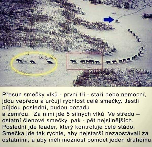 Ste empatický