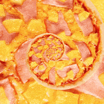 Vaše oblíbená pizza